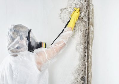 Mold Removal-1