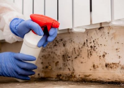 mold-remediation-important-dos-and-donts-you-need-to-know
